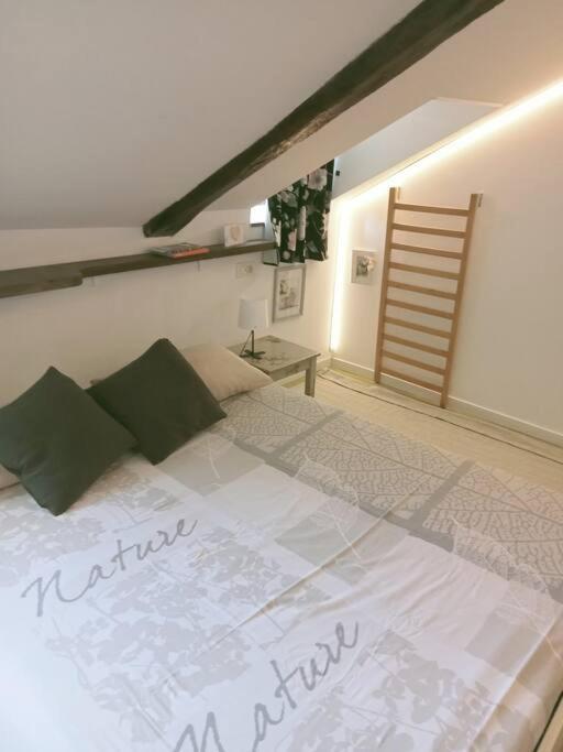A Due Passi Dal Centro Apartment ตูริน ภายนอก รูปภาพ